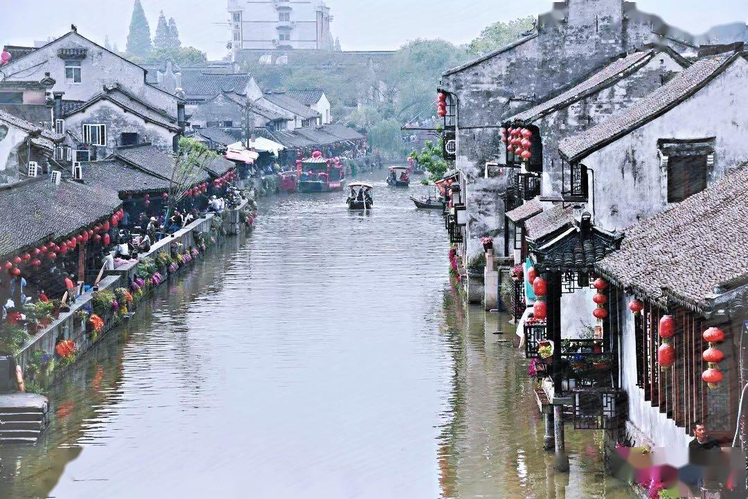 时尚小鸡救援